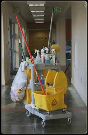 Cleaning cart with sprayers and tools